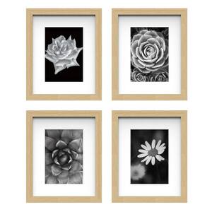 8 in. x 10 in. white Matted 5 in. x 7 in. opening Ash Gallery Wall Picture Frame (Set of 4)