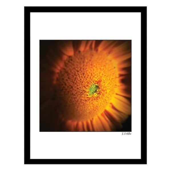 VENICE BEACH Collections Heller Photography Sunflower Framed Printed Photograph by Steven A. Heller Nature Poster Art Print 18 in. x 14 in.
