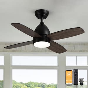 36 in. Dimmable LED Indoor Black Ceiling Fan with Remote Farmhouse Small Bedroom Fan Light with Walnut Color Blades