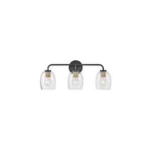 Percy 24.0 in. 3-Light Black Vanity Light