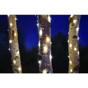 32 ft. Low Voltage 100 Bulb Copper Wire LED Starry Indoor/Outdoor String Light Plug-in (2-Pack)