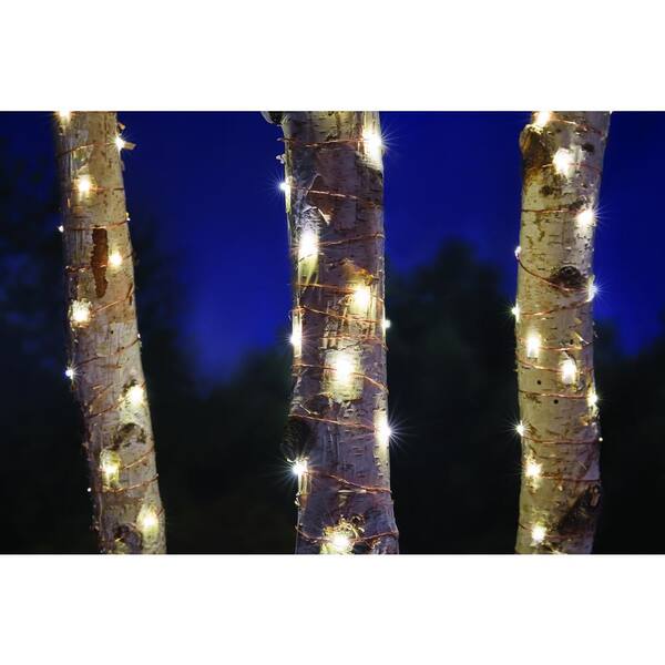 Hampton Bay 32 ft. Low Voltage 100 Bulb Copper Wire LED Starry Indoor/Outdoor String Light Plug-in (3-Pack)
