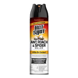 17.5 oz. Unscented Ant, Roach and Spider Aerosol Insert Killer
