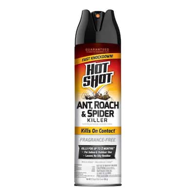17.5 oz. Unscented Ant, Roach and Spider Aerosol Insert Killer