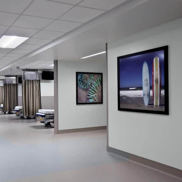 5 gal. #PPU26-14 Drizzle Eggshell Interior Paint