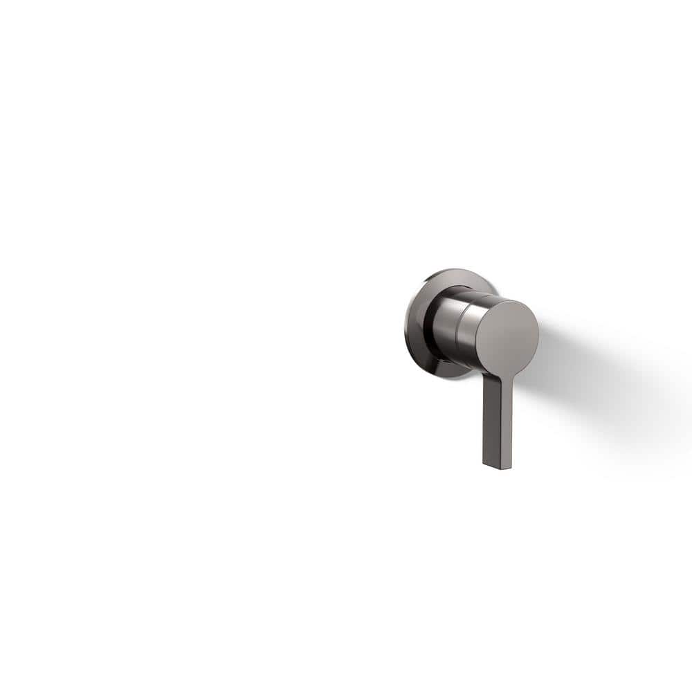 Components Wall-Mount Bathroom Sink Faucet Handle in Vibrant Titanium price history on PriceWatchPro