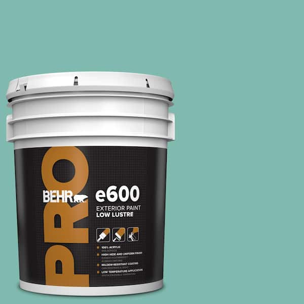 BEHR PRO 5 gal. #490D-5 Winter Surf Low Luster Exterior Paint