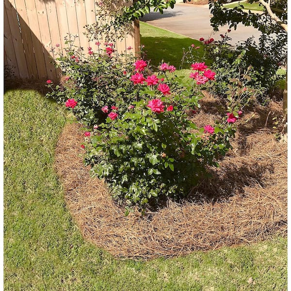 Unbranded - Box of 300 Sq.ft. Long Needle Pine Straw Mulch