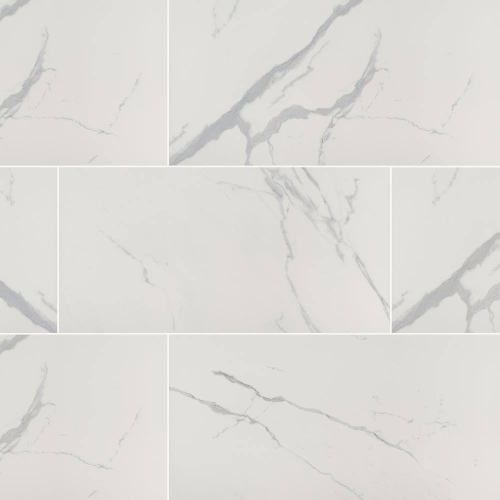 Ader Tegal 24 in. x 48 in. Polished Porcelain Marble Look Floor and Wall Tile (27 cases/432 sq. ft. /pallet) price history on PriceWatchPro