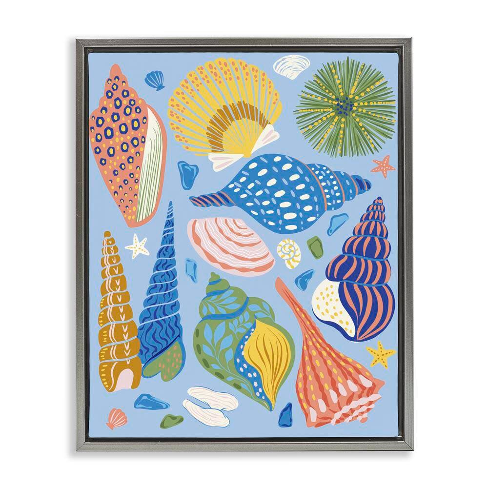 Summer Fun Seashells by Arrolynn Weiderhold Gray Floater Frame Coastal Graphic Art Print 31 in. x 25 in. price history on PriceWatchPro