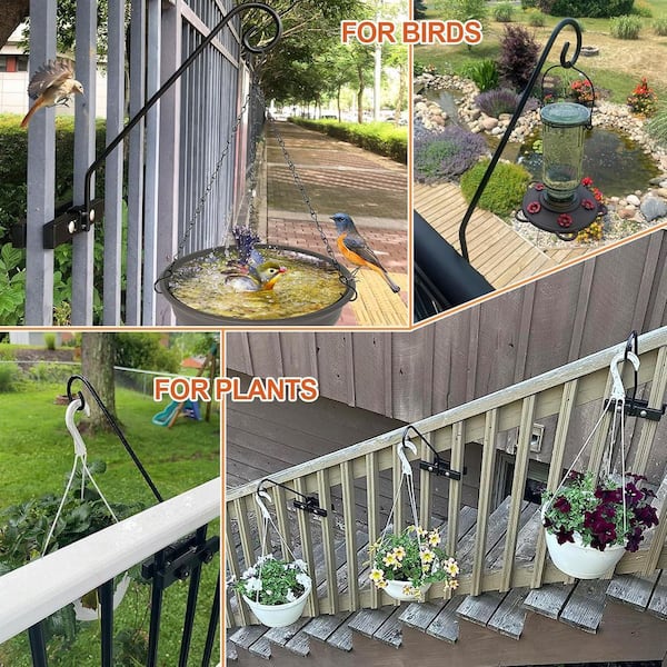 lavender indoor plants for sale English Lavender