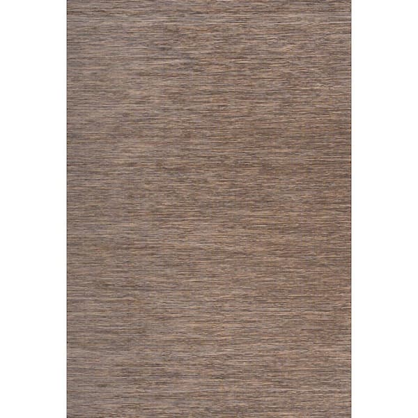 Ethan Modern Flatweave Brown 5 ft. x 8 ft. Solid Indoor/Outdoor Area Rug