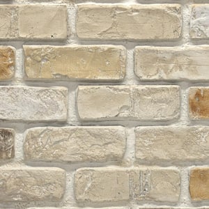 Used Brick 11 in. x 11 in. Pacific Creme Faux Brick Siding Sample