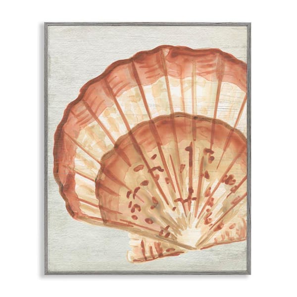 Stupell Industries Clam Shell in Beige by June Erica Vess Gray Framed Coastal Giclee Art Print 14 in. x 11 in.