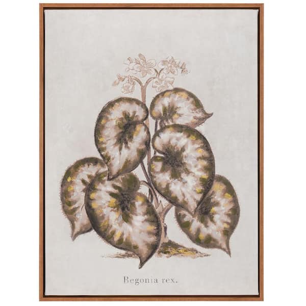 StyleCraft 1-Piece Framed Graphic Print Nature Poster Art Print 24 in. x 18 in.