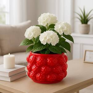 Liv & Skye Red Ceramic Bubble Raised Dot Design Decorative Planter