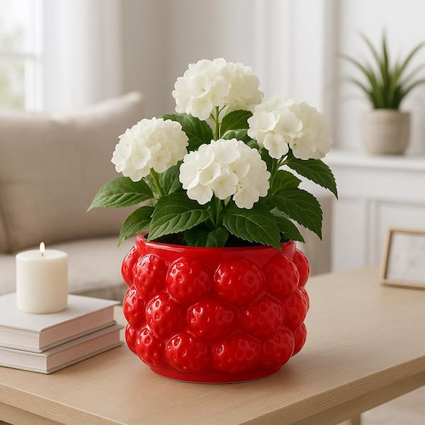 Red Ceramic Round Strawberries Flower Decorative Planter (7 in. W x 5 in. H)