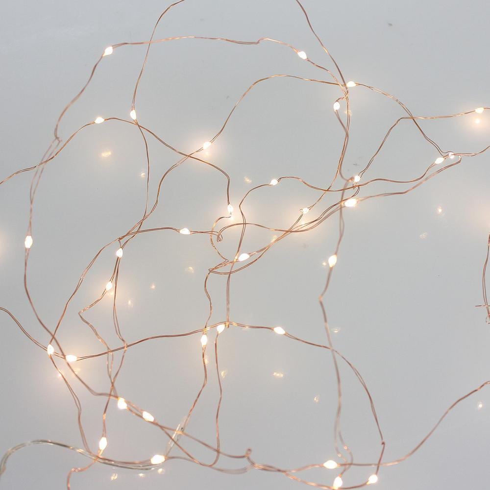 16.5 Foot - Plug in LED Fairy Lights- 50 Warm White Micro LED Lights on  Copper Wire - Hometown Evolution Inc.