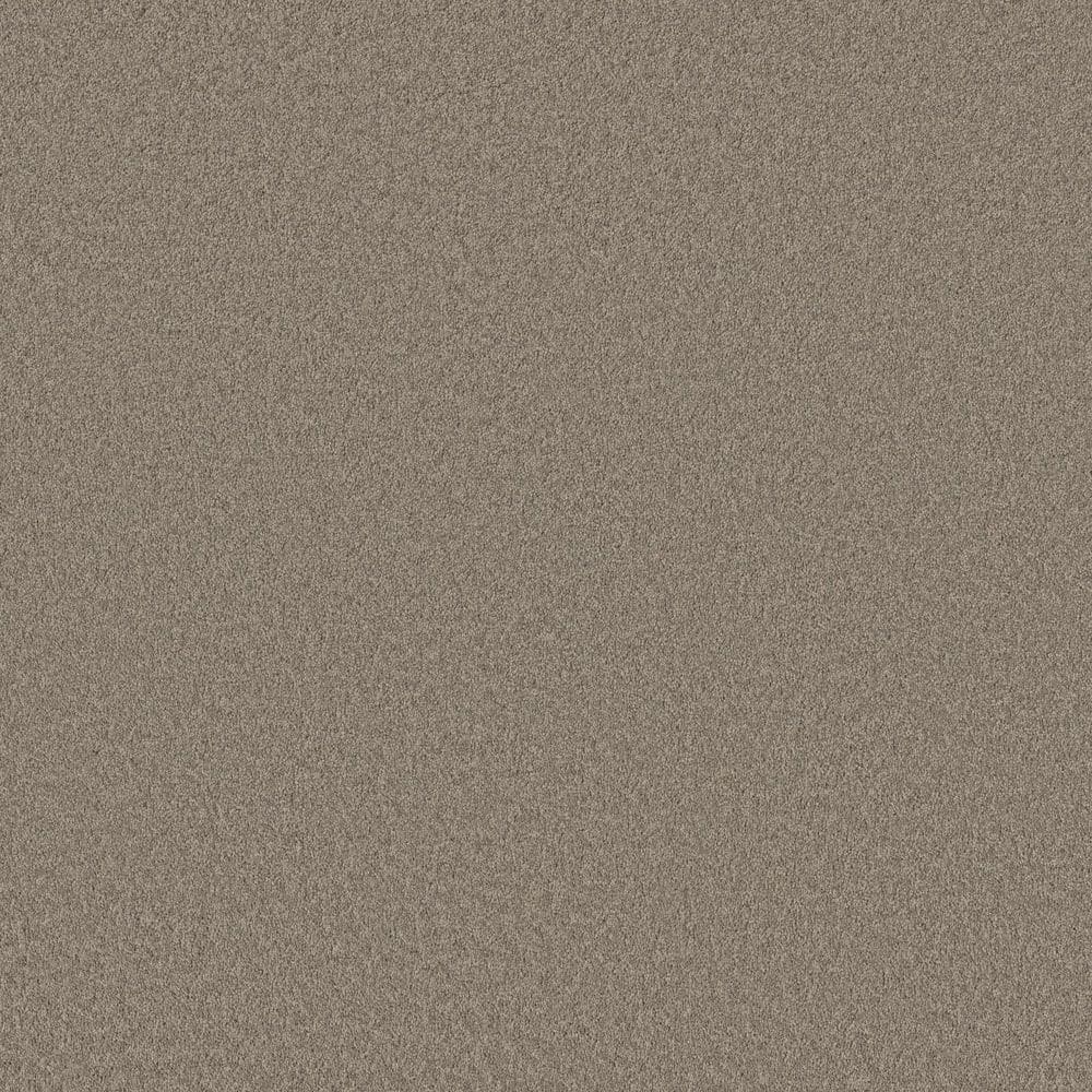 8 in. x 8 in. Texture Carpet Sample - Vignette Velvet II - Color Cobble Path price history on PriceWatchPro