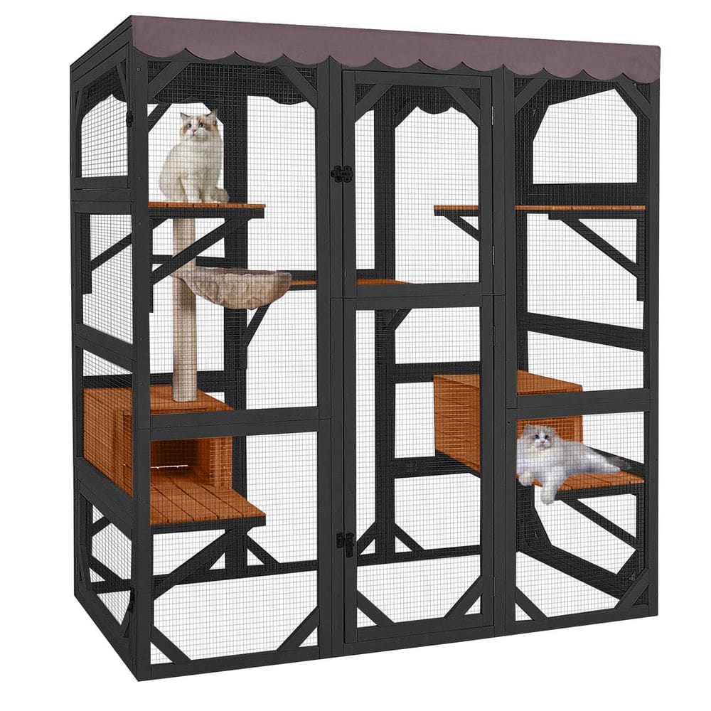 キャットハウス cat-houses-air37-m-b-64_1000.jpg