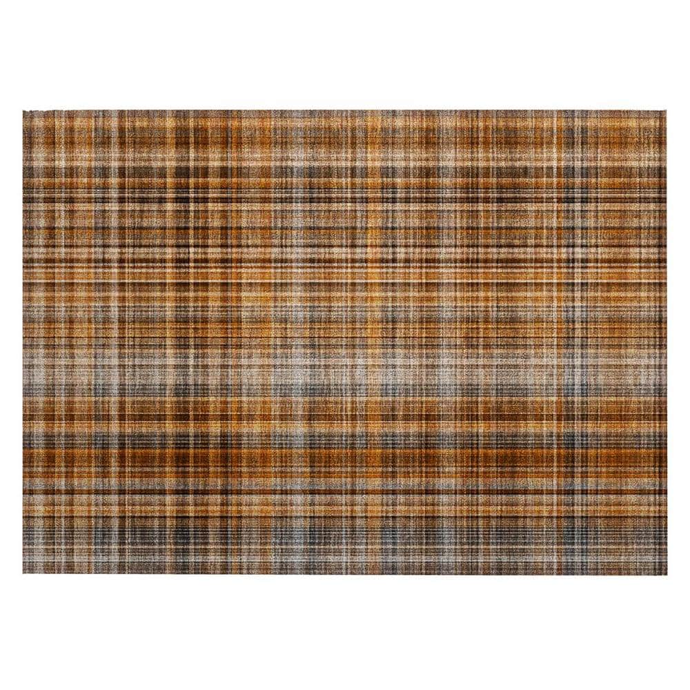 Terracotta 2 ft. x 3 ft. Woven Plaid Rectangle Indoor/Outdoor Area Rug price history on PriceWatchPro