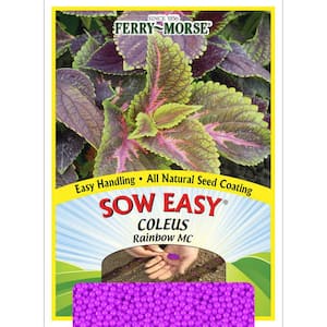 Sow Easy Coleus Rainbow Mix Colors Flower Seeds