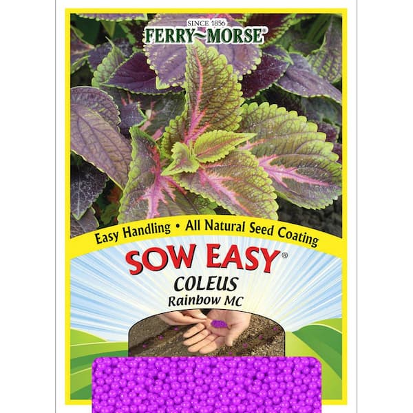 Ferry-Morse Sow Easy Coleus Rainbow Mix Colors Flower Seeds