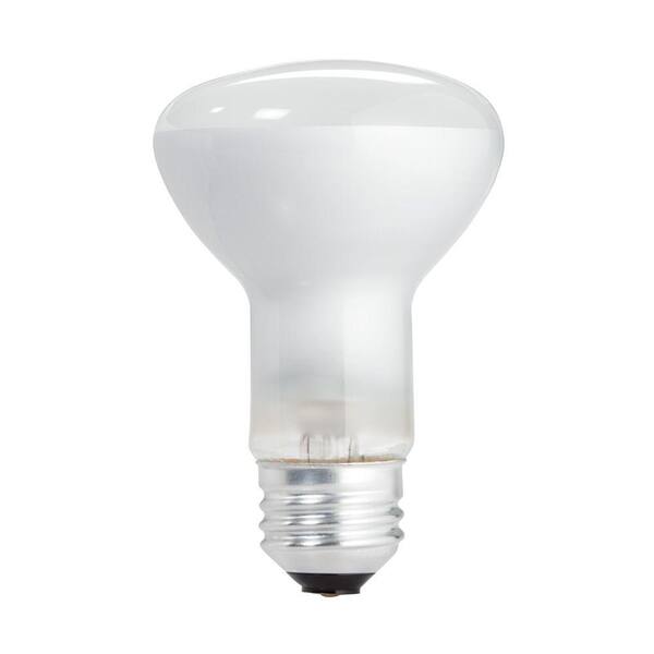 45 watt flood light bulb