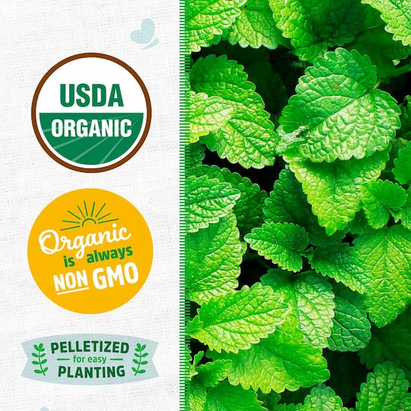 Organic Peppermint Mint Seed (1-Pack)