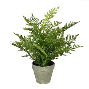 19 in. Green Artificial Fern in Pot