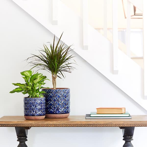 https://images.thdstatic.com/productImages/68ad5b65-b8d8-42a8-a767-ce005d3040f7/svn/blue-southern-patio-plant-pots-crm-081579-66_600.jpg