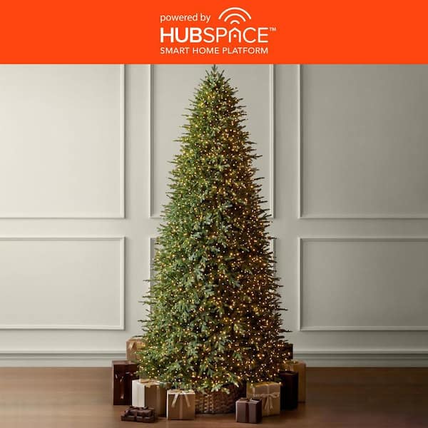 12 ft SMART Grand Duchess Twinkling Balsam Fir LED Pre-Lit Tree T39