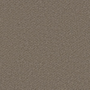 Added Value - Compliment - Gray 24 oz. SD Polyester Texture Installed Carpet