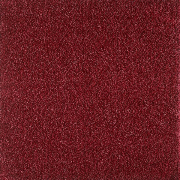 Eviva Dreamy Red 6 ft. x 9 ft. Area Rug