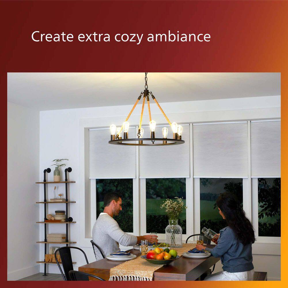 Clear Spiral Filament Dimmable Vintage LED Light Bulb
