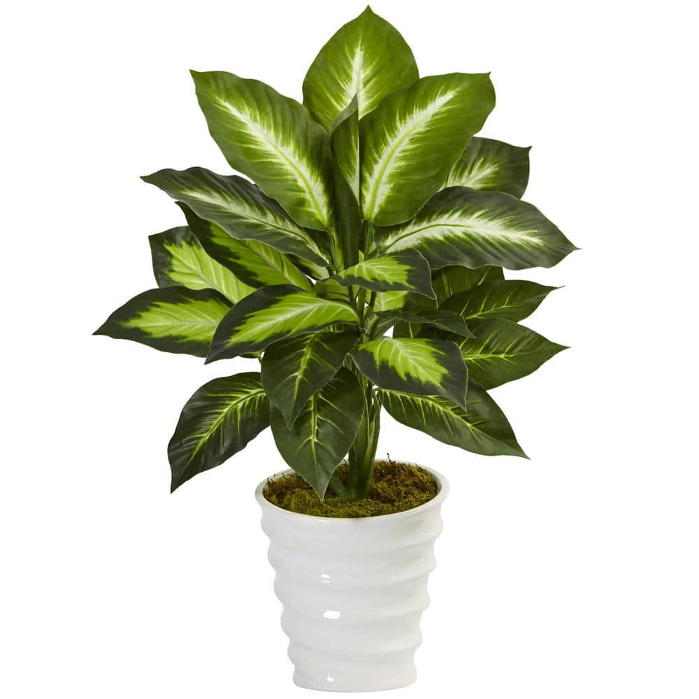indoor plants stand Halstein main image 1