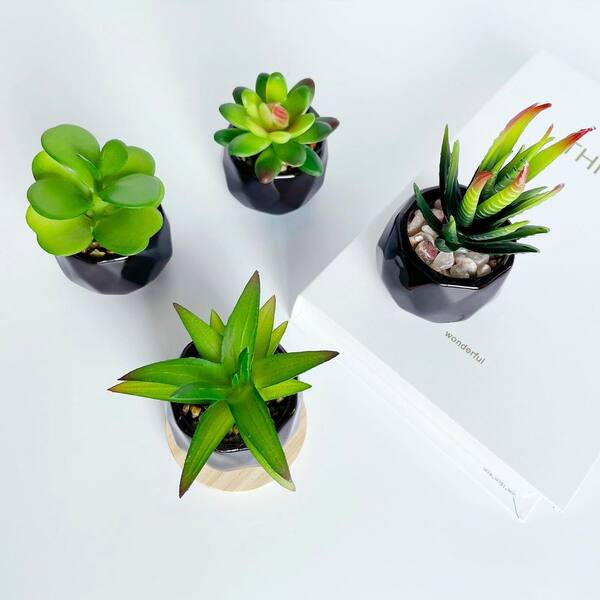 5.47 in. Black Ceramic Indoor Artificial Succulent Plant Set 4