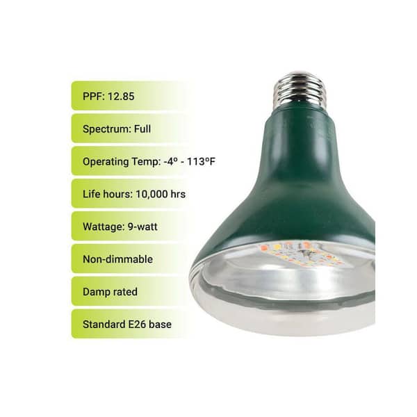 GT GT-Lite 12.85 PPF 9-Watt LED Grow Light A21 Bulb BR30 E26 Base Wide  Spectrum for Indoor Plants Energy-Efficient (1-Pack) BD-GR-BR30-2