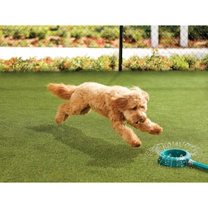 Premium Pet Turf 6 ft. x 7.5 ft. Green Artificial Grass Rug