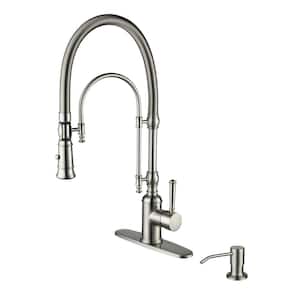 Single Handle Pull Down Sprayer Kitchen Faucet with Soap Dispenser in Brushed Nickel