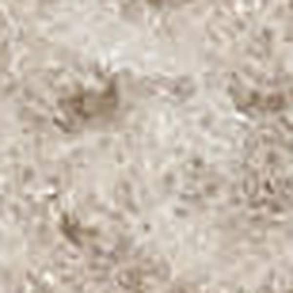 2 ft. x 8 ft. White Moroccan Washable Area Rug