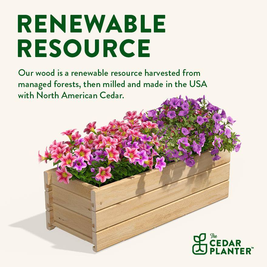 Extra Large Off-White Cedar Wood Outdoor Planter Box