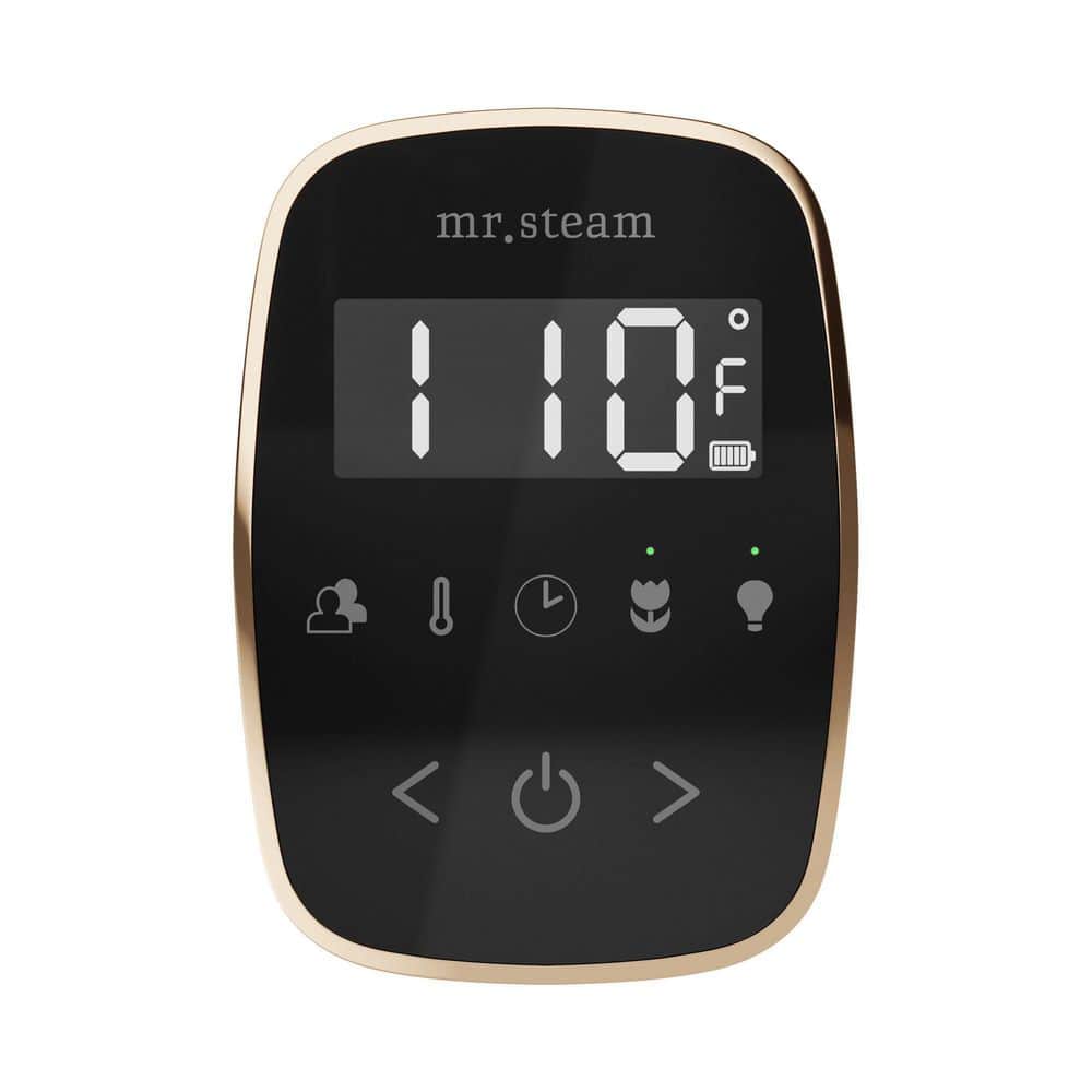ButlerTouch Steam Shower Control Package with TempoTouch Control and Linear Steamhead in Polished Gold price history on PriceWatchPro