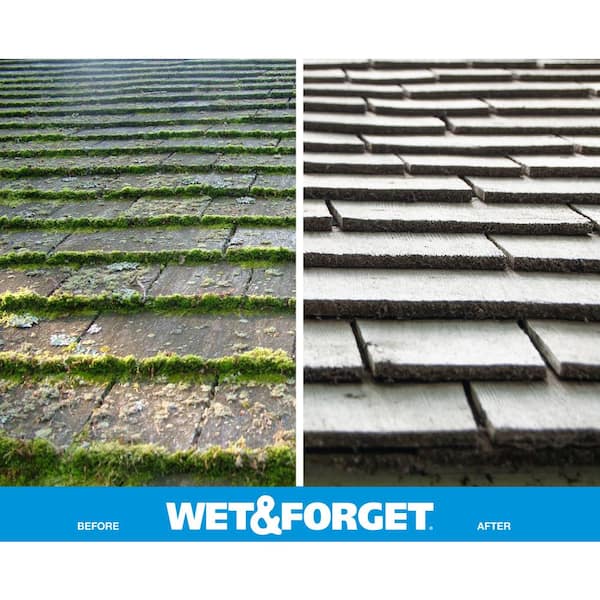 Wet and Forget - 48 oz. Outdoor Moss Mold Mildew and Algae Stain Remover with Rapid Application Hose End