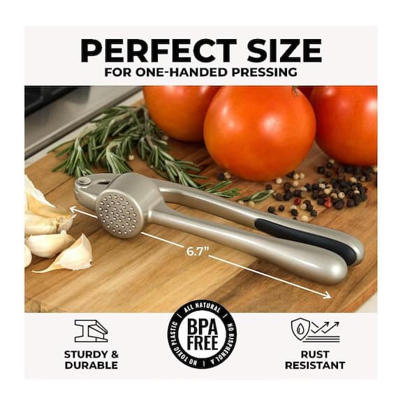 Aoibox 8.4 oz. Garlic Mincer Tool with Sturdy Design Extracts More Garlic  Paste, Soft and easy to Squeeze, Imperial Silver SNPH002IN430 - The Home  Depot
