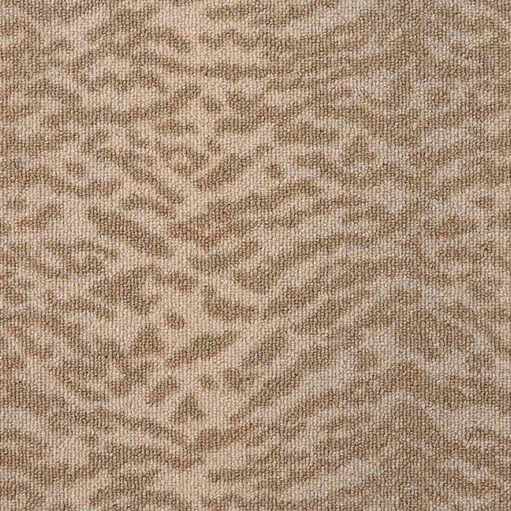 9 in. x 9 in. Pattern Carpet Sample - Fearless - Color Brush price history on PriceWatchPro