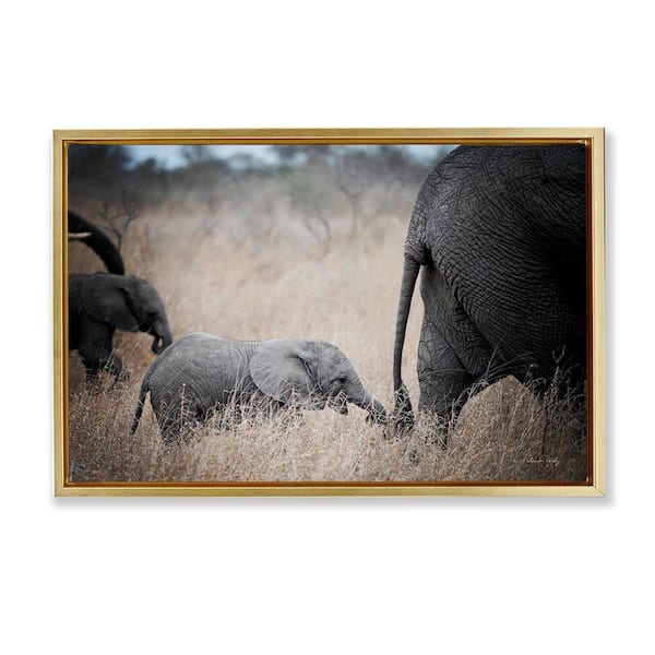 Stupell Industries Baby Elephant Strolling by Sharon Vardy Gold Floater Frame Animal Graphic Art Print 21 in. x 31 in.