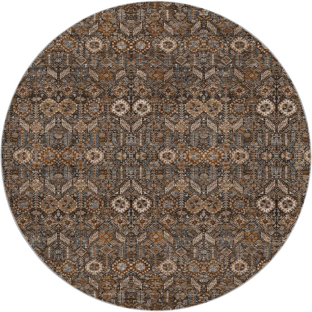 Dream Shag Premium Machine Washable Abstract ADS574 Chocolate 8 ft. x 8 ft. Round Rug price history on PriceWatchPro