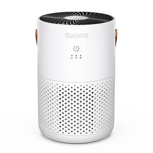 HEPA Type Air Purifier with Handle