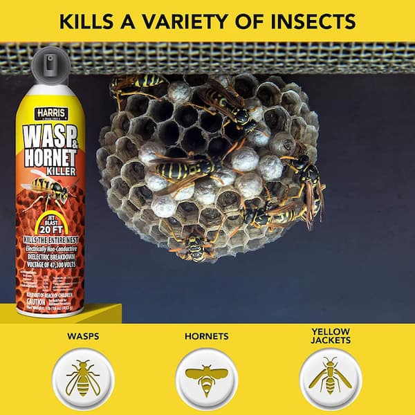 Harris 16 Oz Wasp And Hornet Killer 3 Pack 3wh16 The Home Depot